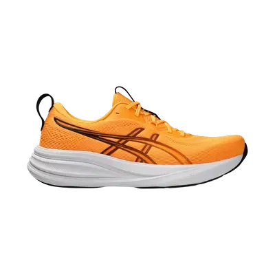 Asics Gel-Pulse 17