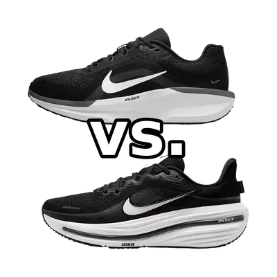 Nike Winflo 11 vs Nike Winflo 12