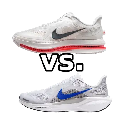 Nike Pegasus Premium vs Nike Pegasus 41