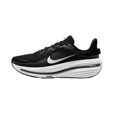 Nike Winflo 12