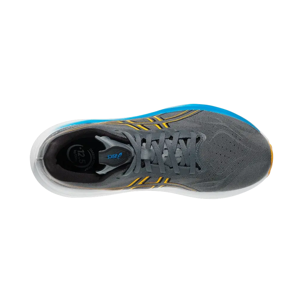 Asics GT-2000 14